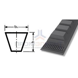 ремень xpa 832
