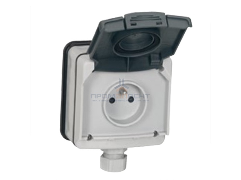 Розетка с крышкой Legrand Plexo IP66